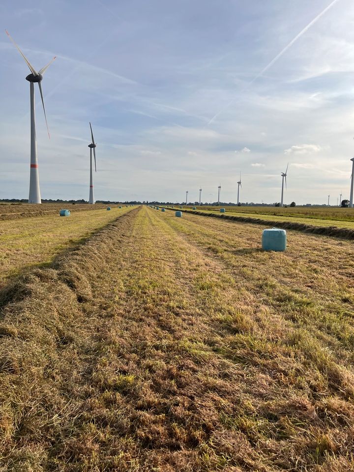 Vorbestellung 2024 Pferde Heulage 85x90 Medi Ballen Rundballen in Oederquart