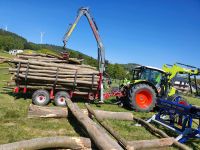 Brennholz Buche Hessen - Sinntal Vorschau