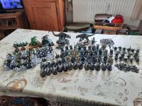 Age of Sigmar Seraphon Armee Schleswig-Holstein - Nortorf Vorschau