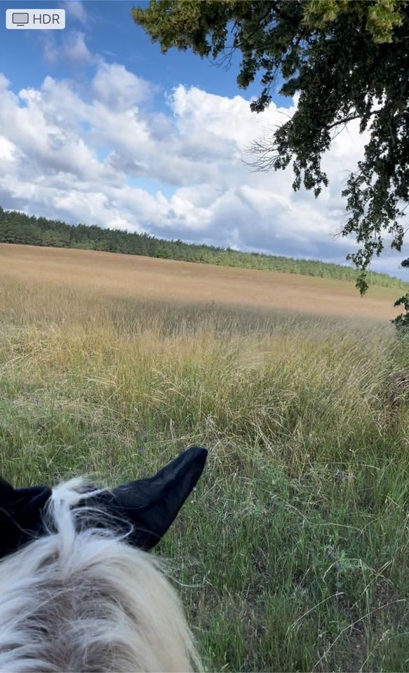 Urlaub mit eigenem Pferd direkt am Plauer See in Fünfseen