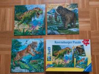 Ravensburger Puzzle - Dinosaurier - 3 x 49 Baden-Württemberg - Dossenheim Vorschau