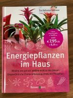 Energiepflanzen im Haus Eva Katharina Hoffmann Zimmerpflanzen Brandenburg - Lübben Vorschau