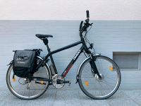 Giant Freedom Twist CS de Luxe, E-Bike mit 2 Akkus Hessen - Bad Soden am Taunus Vorschau