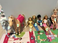 Verschiedene Barbies, Rollstuhl Barbie, Pferde Reiter Barbie Bayern - Alzenau Vorschau