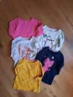 Kleiderpaket Pullover Mädchen 116 Bayern - Hafenlohr Vorschau