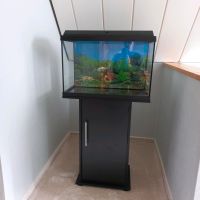 Juwel Aquarium Primo 70 LED schwarz mit Unterschrank Herzogtum Lauenburg - Schnakenbek Vorschau