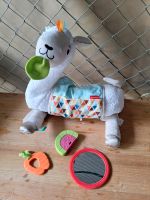 4 in 1 Lama Fisher Price Nordrhein-Westfalen - Neuss Vorschau