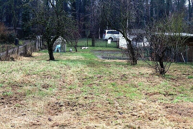 Baugrundstück in der Kleinstadt Friedland in Friedland