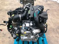 Motor M9T726 12.168✔️Mit Anbauteile 2.3DCI Renault Master Niedersachsen - Braunschweig Vorschau