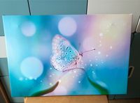Bild Schmetterling Leinwand 40x60 cm Bayern - Kirchseeon Vorschau