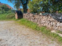 Brennholz, Buche, 1m Scheite Bayern - Waldkirchen Vorschau