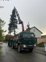 Baumfällarbeiten Baumfällungen Baum Bayern - Denklingen Vorschau