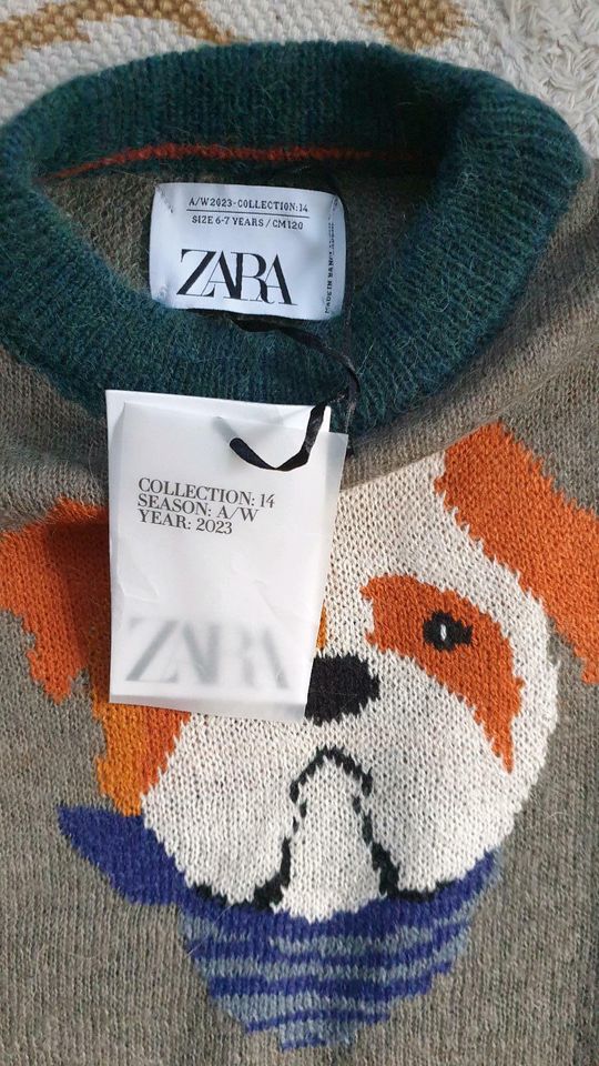 Gr116 ZARA Strickpullover WolleJunge Hund  Limitierte Edition Neu in Darmstadt