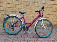 Fahrrad Mädchenfahrrad Boomer violett dunkel 26 Zoll junior Dream München - Schwabing-West Vorschau
