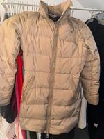 Tommy Hilfiger Winterjacke Niedersachsen - Belm Vorschau
