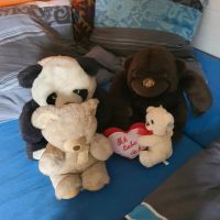 Grosser Pandabär und Gorilla und 2 kleinere Teddys zus.5 Euro Hessen - Groß-Gerau Vorschau