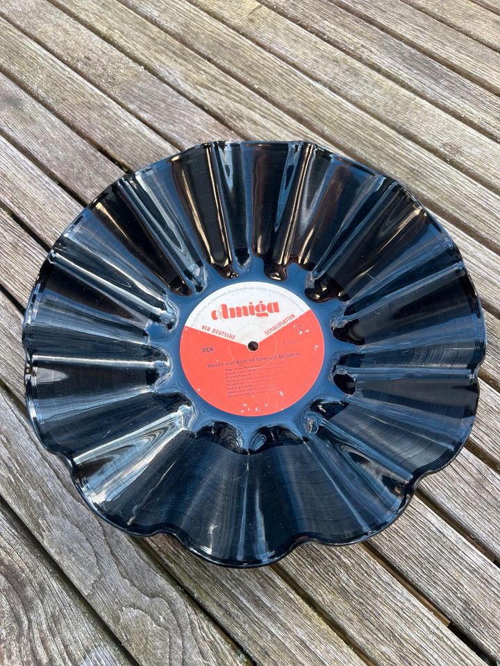 Schallplatte als Schüssel Vinyl Amigo in Winnweiler