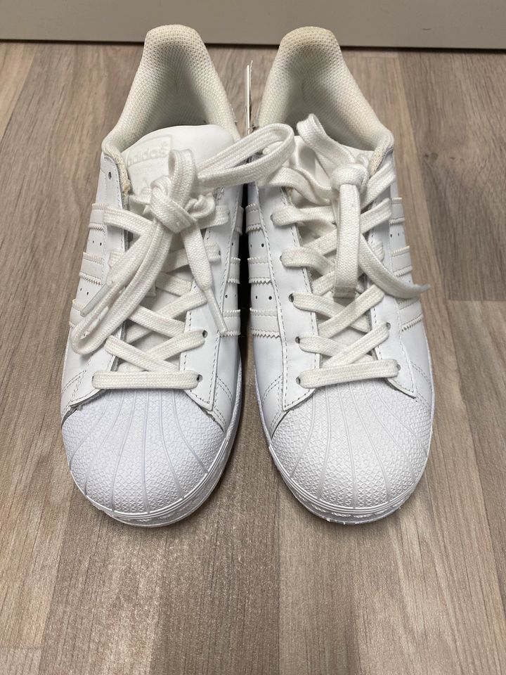 adidas Originals Superstar Sneaker in Hamm