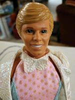 Ken 90er zur Prinzessin Barbie Rheinland-Pfalz - Birkenheide Vorschau