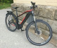 29" Pedelec E-Bike SWYPE Torqz 1.0 Bosch Perf. CX Gen4 625Wh 10-G Baden-Württemberg - Crailsheim Vorschau