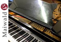 Steinway & Sons B-211 Flügel ex Rudolf Schock - Schellack schwarz Nordrhein-Westfalen - Kamen Vorschau