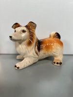 Porzellan Hund Sachsen-Anhalt - Zahna Vorschau