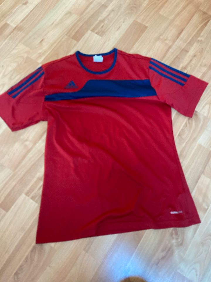 Shirt Sport Adidas S in Königshain-Wiederau