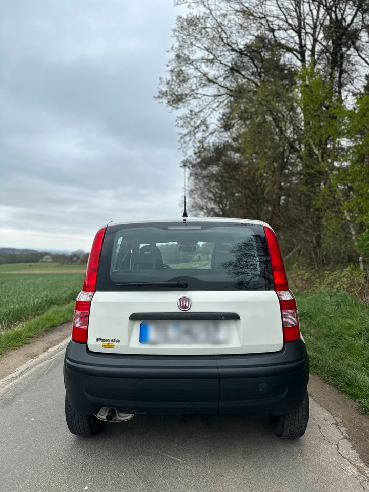 Fiat Panda *NeuTüv*GuterZustand*Kleinwagen* in Ibbenbüren