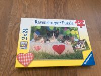 Puzzle 4+ neu Katze Bayern - Karlsfeld Vorschau