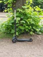 Stylisches micro-scooter Kickboard Hamburg-Nord - Hamburg Uhlenhorst Vorschau