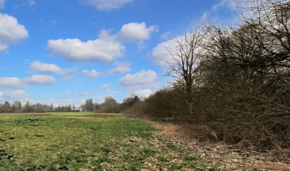 Landwirtschaftlich nutzbar: Attraktives Grünland in ruhiger Randlage von München in München