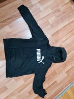 Puma Hoodie Bayern - Rottenburg a.d.Laaber Vorschau