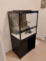 Paludarium lucky Reptile mit Schrank und Lampe Nordrhein-Westfalen - Hückelhoven Vorschau