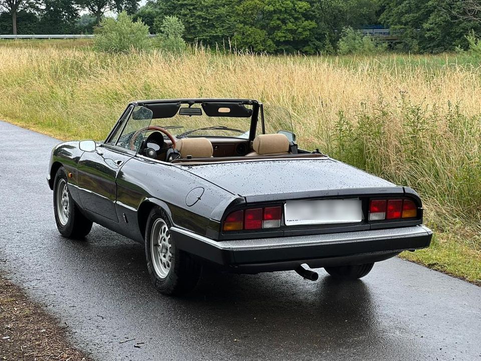 Alfa Romeo Spider 2.0 Oldtimer in Wuppertal