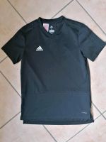 Adidas Sport T-Shirt Gr. 152 für Jungen Nordrhein-Westfalen - Waltrop Vorschau