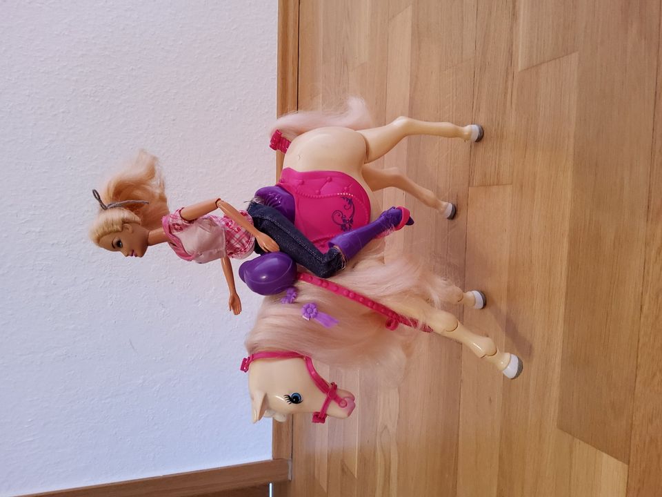 Barbie Zubehör in Hachenburg