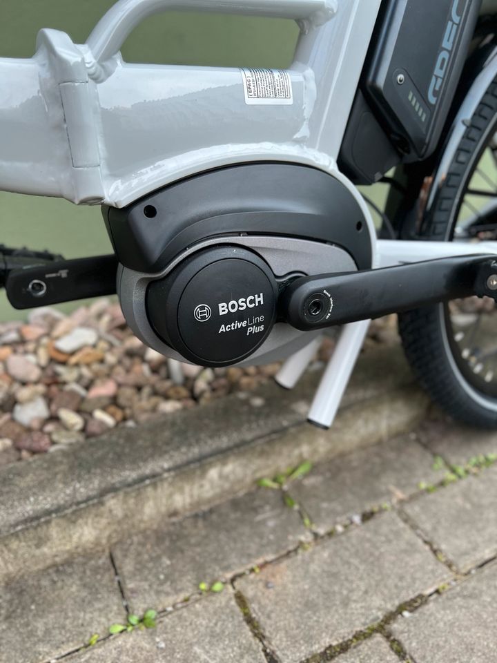 Grecos Eli Fold Faltrad E-Bike Zahnriemen Bosch Active Plus neu in Erfurt