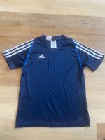 Adidas Sportshirt Short Trikot in Größe 152 blau Nordrhein-Westfalen - Lemgo Vorschau