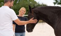 Online Ausbildung pferdegestütztes Coaching Baden-Württemberg - Weingarten (Baden) Vorschau
