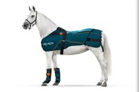 Magnetfeldtherapie für dein Pferd, Bemerdecke, Pferd bemern Nordrhein-Westfalen - Hemer Vorschau