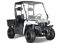 WSM RTX 800E UTV Golfcart Golfcar, Elektrofahrzeug mit Zulassung Niedersachsen - Winsen (Luhe) Vorschau