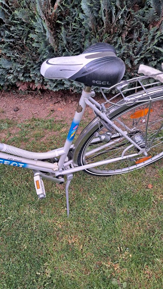 Damen Cityfahrrad Peugeot 28 Zoll in Lohfelden