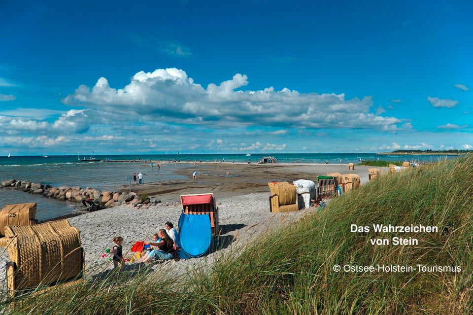 Super Ferienwohnung mit Garten bis 6 Pers. SL Ostsee Stein ab in Stein (Probstei)