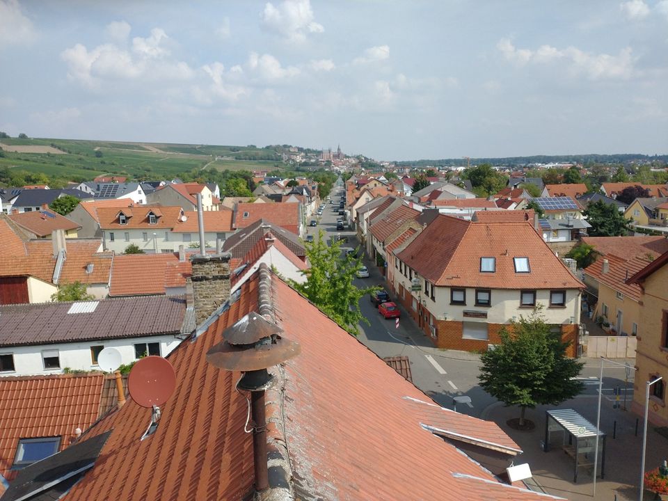 Hubsteiger, Arbeitsbühne stundenweise incl. Fahrer zu vermieten in Oppenheim