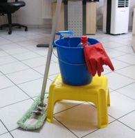 Reinigungskraft (m/w/d) für Ladengeschäft (2-3 Stunden pro Woche) Bayern - Kulmbach Vorschau