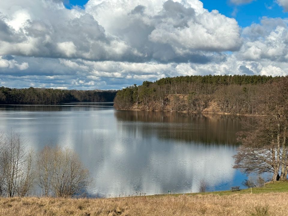 Carwitz-Wohnen und/ oder Gewerbe in landschaftlich schönster Lage in der Feldberger Seenlandschaft in Feldberg