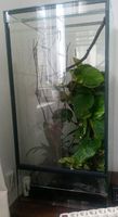 Terrarium 50x50x100 ca einen Monat alt Nordwestmecklenburg - Landkreis - Rehna Vorschau