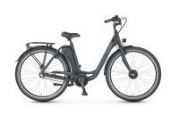 Prophete Ebike Reparatur, Reparaturen von Blaupunkt E-Bike Niedersachsen - Barßel Vorschau