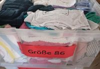 Kinder Hosen, T-Shirts, Pullis diverse Größen Hessen - Eltville Vorschau