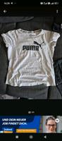 Puma Shirt Neu Pankow - Buch Vorschau